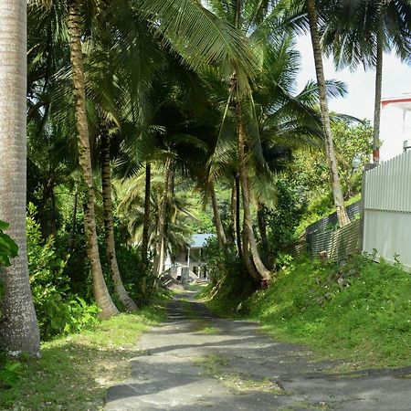 Chez Tatie-Clo Devient Gray Coconut Cake Villa Le Moule Exterior photo