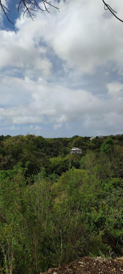 Chez Tatie-Clo Devient Gray Coconut Cake Villa Le Moule Exterior photo